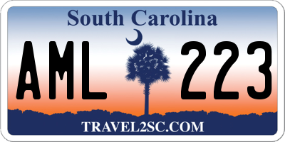 SC license plate AML223