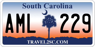 SC license plate AML229