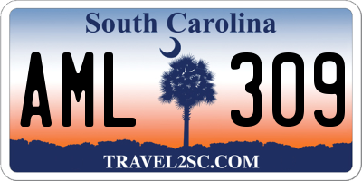 SC license plate AML309