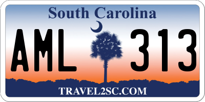 SC license plate AML313