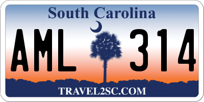 SC license plate AML314