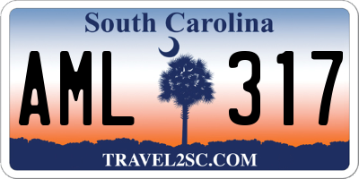 SC license plate AML317