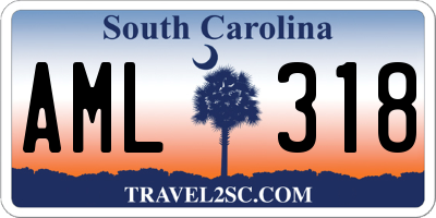 SC license plate AML318