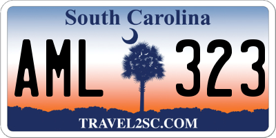SC license plate AML323