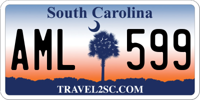 SC license plate AML599