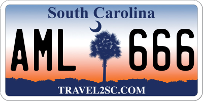 SC license plate AML666