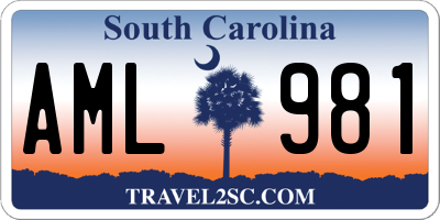 SC license plate AML981