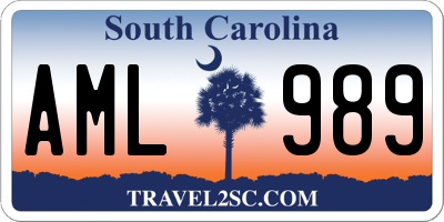 SC license plate AML989