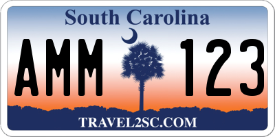 SC license plate AMM123