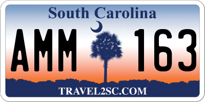 SC license plate AMM163