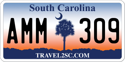 SC license plate AMM309