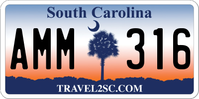 SC license plate AMM316