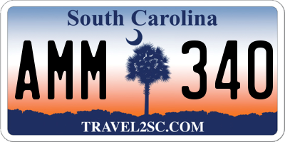 SC license plate AMM340