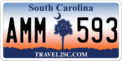 SC license plate AMM593