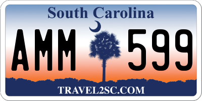 SC license plate AMM599