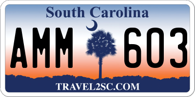 SC license plate AMM603