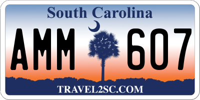 SC license plate AMM607