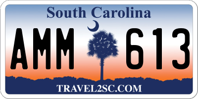 SC license plate AMM613