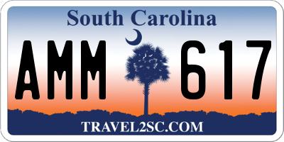 SC license plate AMM617