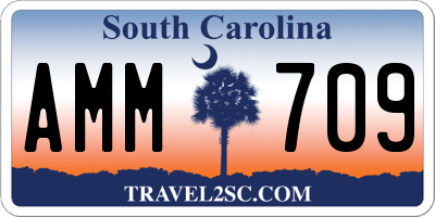 SC license plate AMM709
