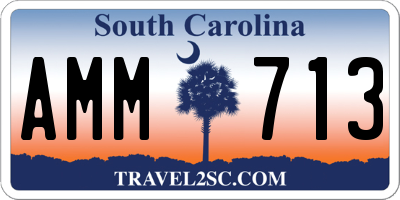 SC license plate AMM713