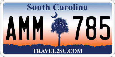 SC license plate AMM785