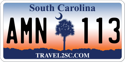 SC license plate AMN113