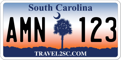 SC license plate AMN123