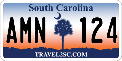 SC license plate AMN124