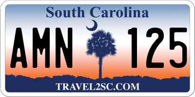 SC license plate AMN125