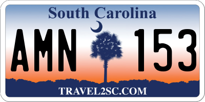 SC license plate AMN153