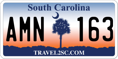 SC license plate AMN163