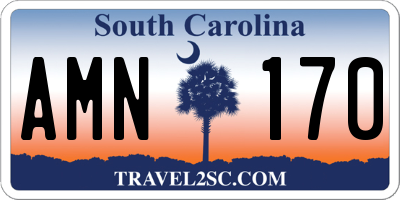 SC license plate AMN170