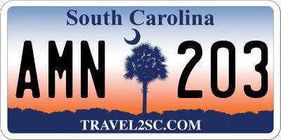 SC license plate AMN203