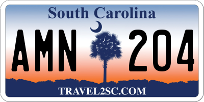 SC license plate AMN204