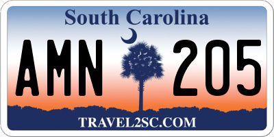 SC license plate AMN205