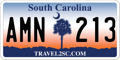 SC license plate AMN213