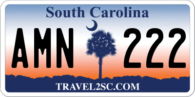 SC license plate AMN222