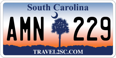 SC license plate AMN229