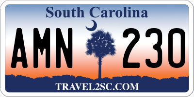 SC license plate AMN230