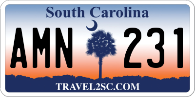 SC license plate AMN231