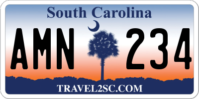 SC license plate AMN234