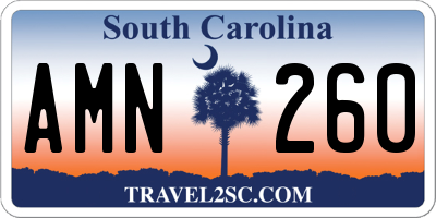SC license plate AMN260