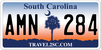 SC license plate AMN284