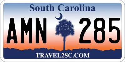 SC license plate AMN285