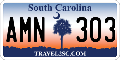 SC license plate AMN303