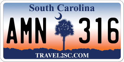 SC license plate AMN316