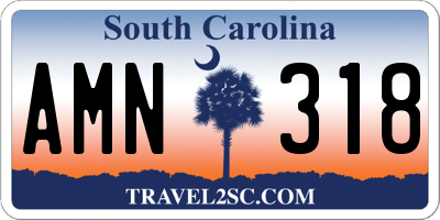 SC license plate AMN318