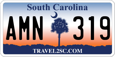 SC license plate AMN319