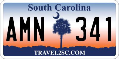 SC license plate AMN341